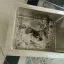 Thumbnail - 1