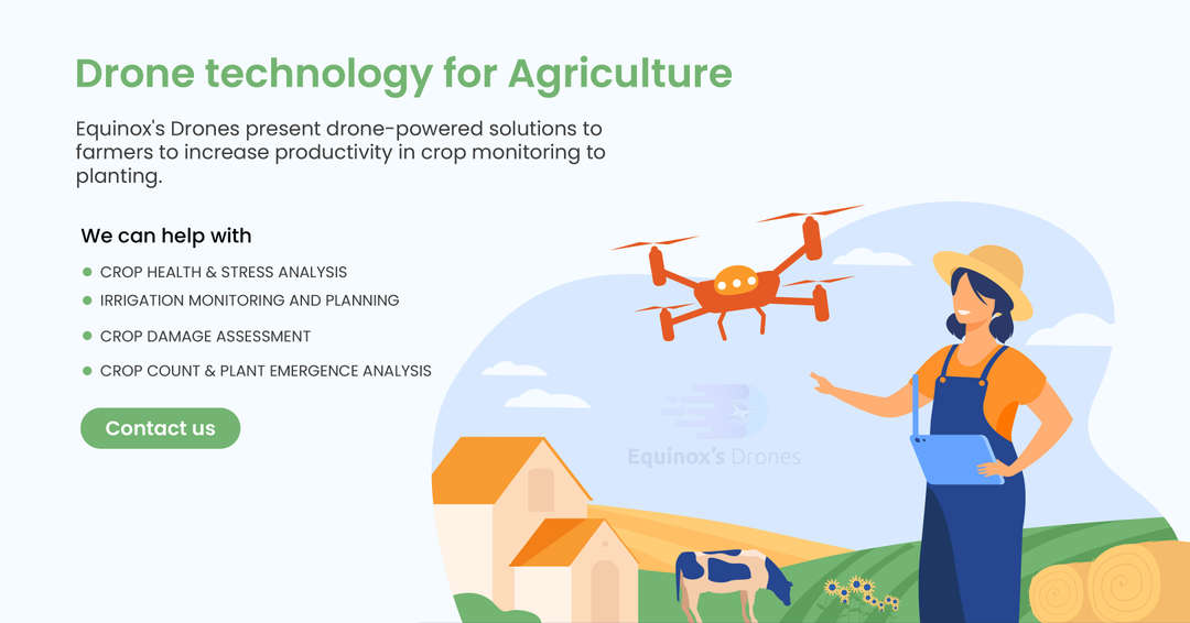 Drones in Agriculture Mapping