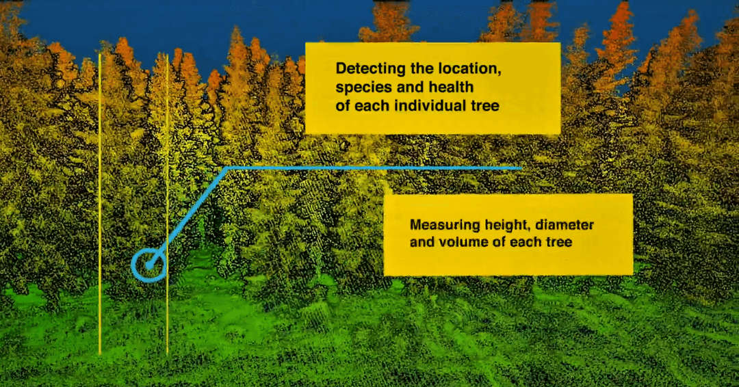 Drone technology | drones in forestry | uav | drone Tree disease detection