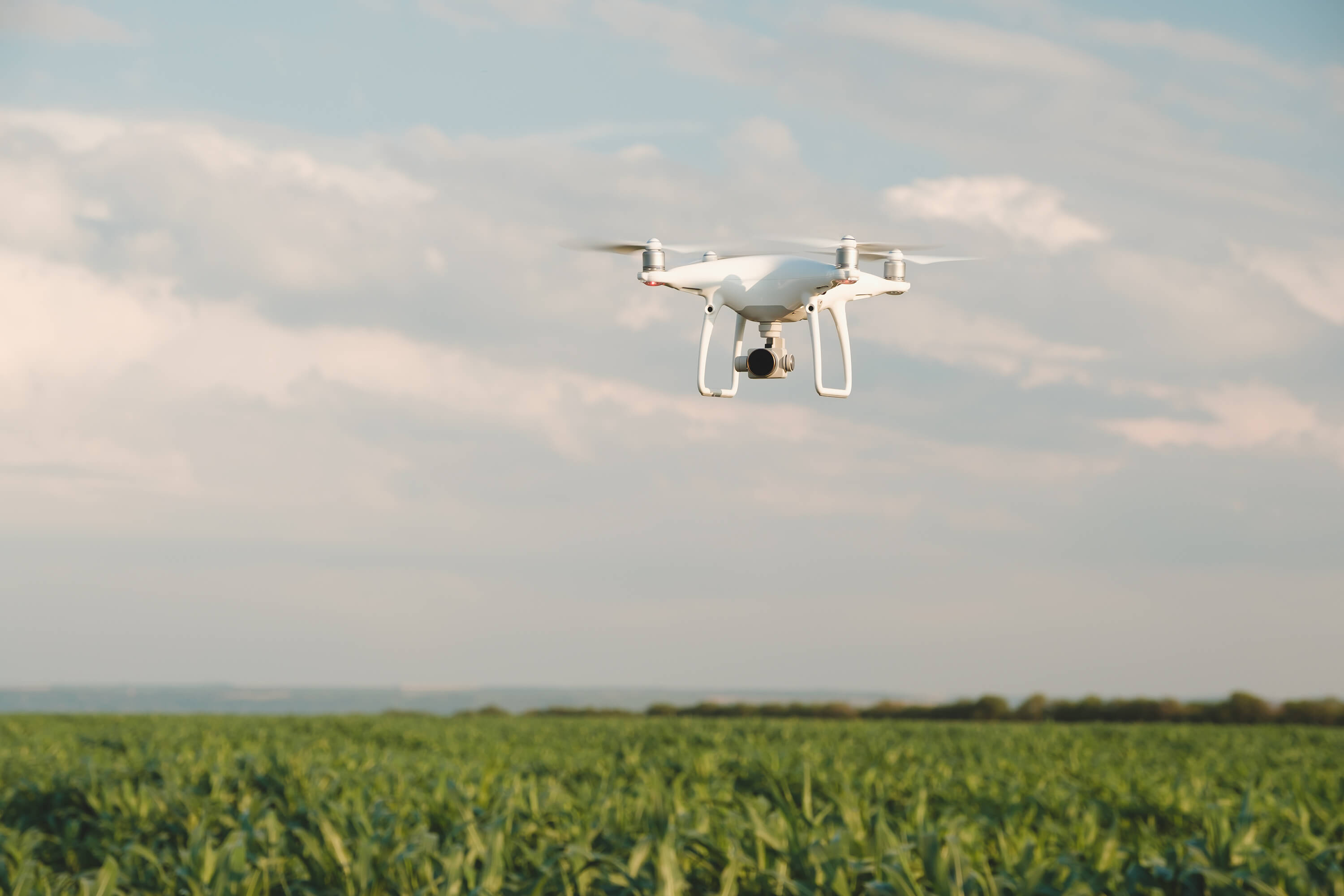 drone technology in forestry