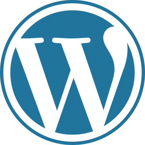 WordPress video preview