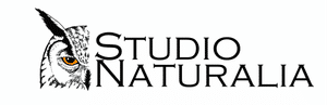 Studio Naturalia Oy