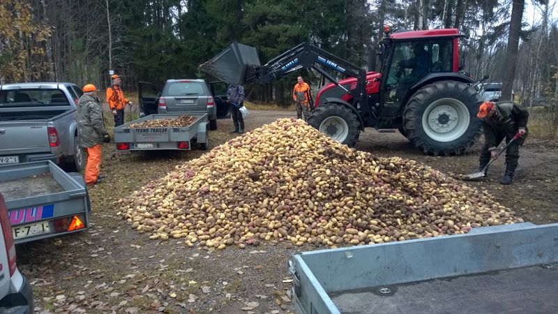 Metsästysseurojen talkootöiden korvaajaksi tarvitaan kohta maaseutuyrittäjien apua?