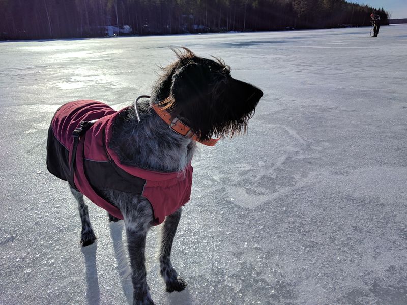 Tunnelmia järveltä