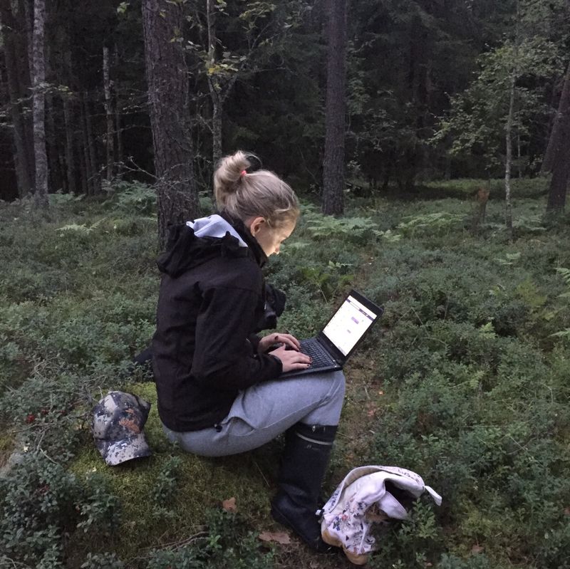 Osallistuin Vihreän Langan nettikeskusteluun metsästä käsin. Iltakävelyltä jäi sienien lisäksi hyviä ajatuksia