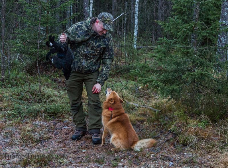 Jotain jäi vielä haukulla sanomatta.