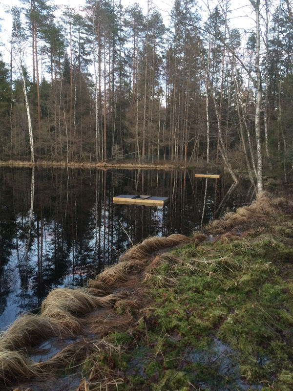 Lautat odottavat ruokailijoita syksyllä 2017