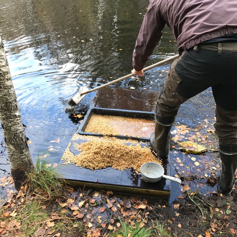 Lautta on helppo pitää puhtaana ja nostaa talvella maalle kuivumaan