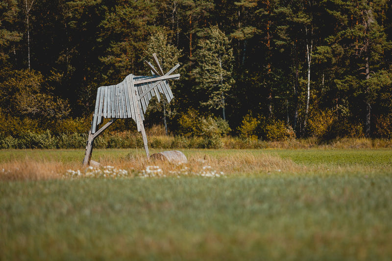 Ehkä hienoin hirvitorni jonka olen nähnyt (sijainti Ahvenanmaa)