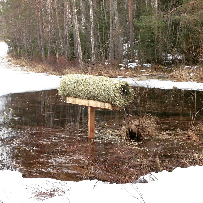 Tuubi 1 valmiina pesintään! Petosuoja puuttuu vielä, mutta se väsätään pikaisesti.