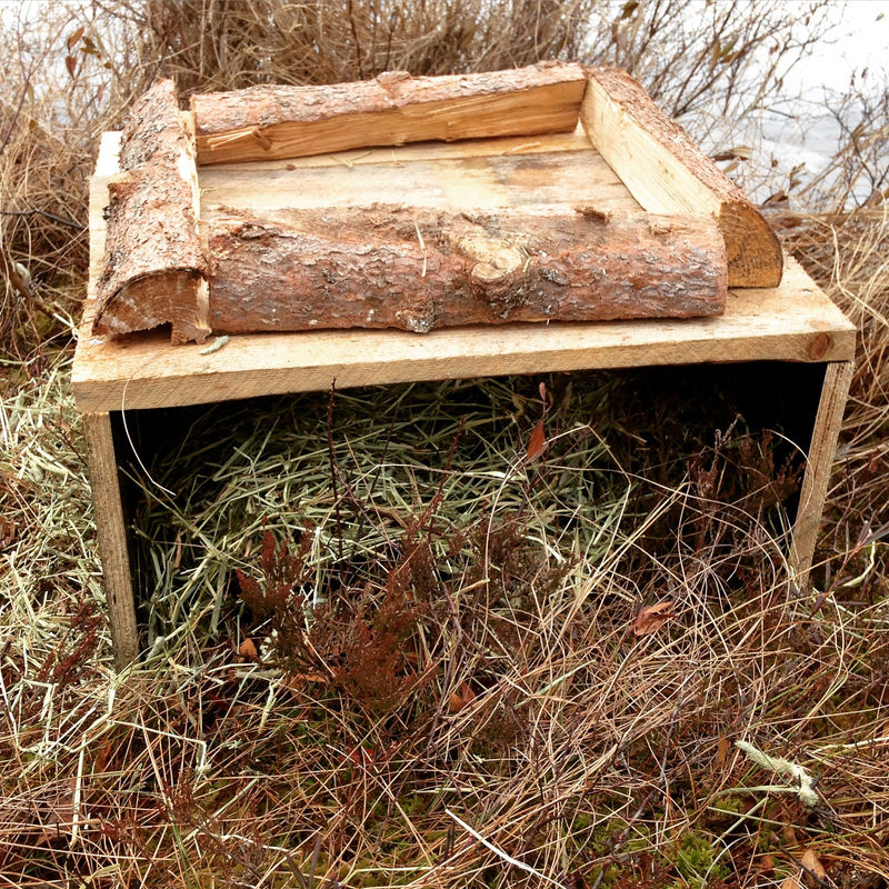 Lähikuva maapesämallista. Katolle on sijoitettu "pesäkehikko" ilmapuolustukselle.