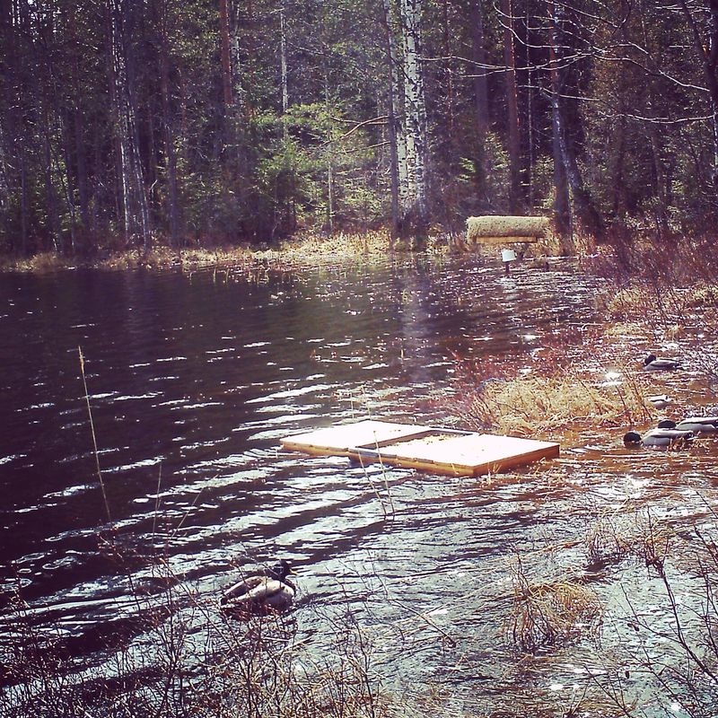 On ne komean vihreitä näin kevät-auringossa!