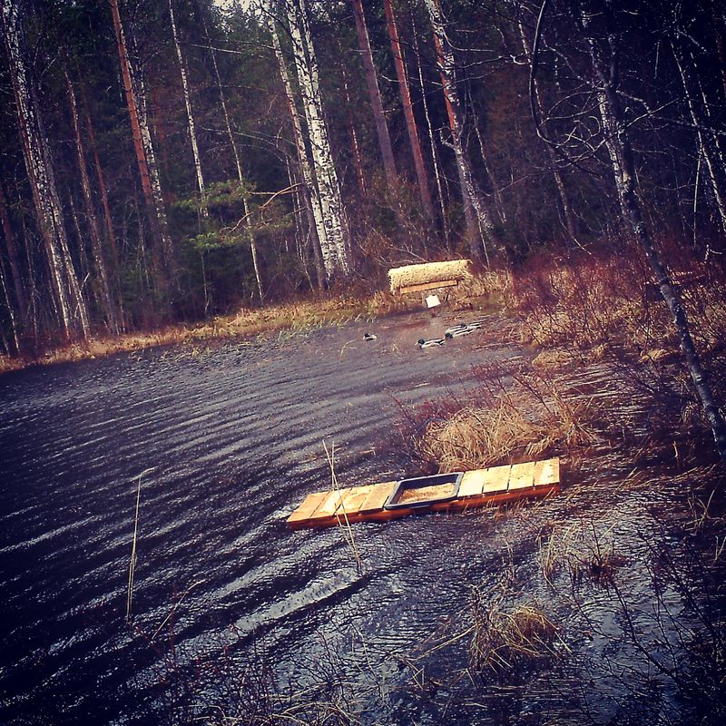 Ukkelit päivystävät pesien lähettyvillä