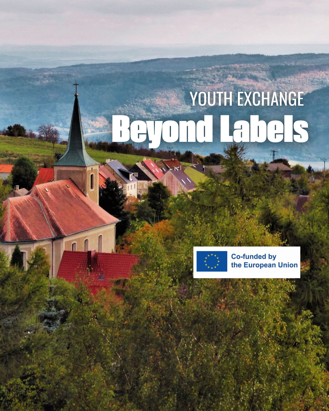 Beyond Labels