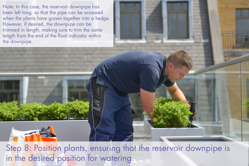 Commercial planter installation: positioning plants