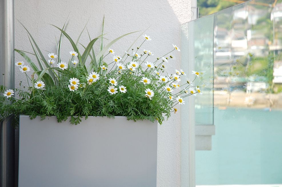 Powder coated 316 stainless steel planter for coastal property