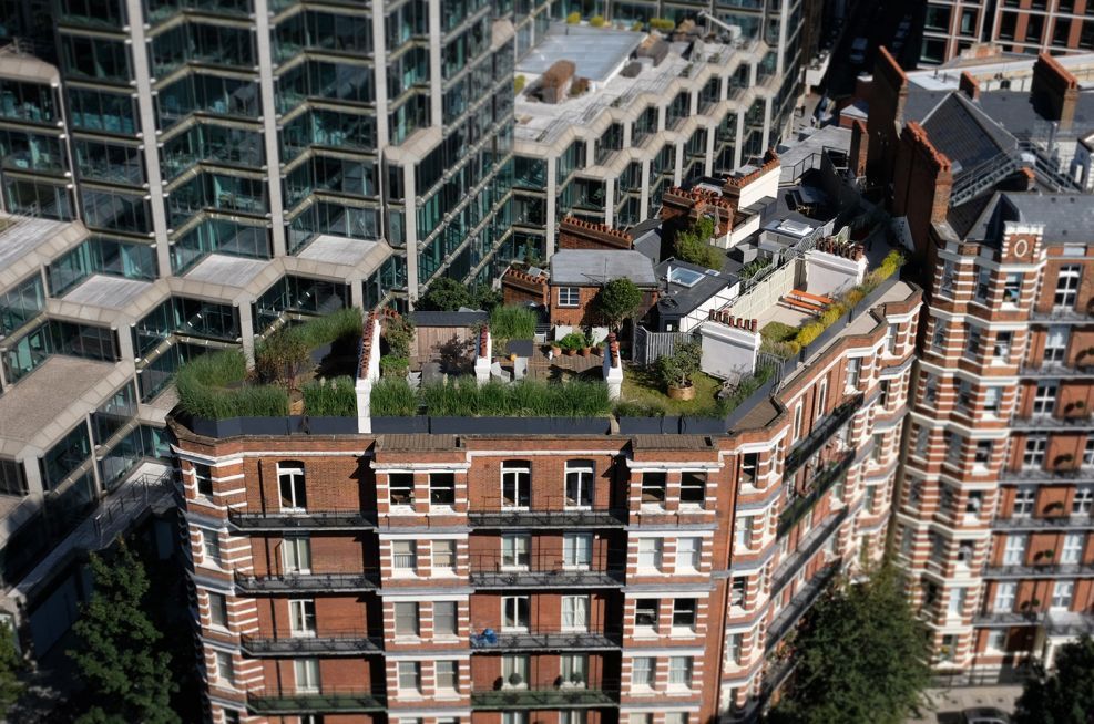 Planters were used as the sole roof edge safety system on the Ashley Gardens rooftop terrace in London