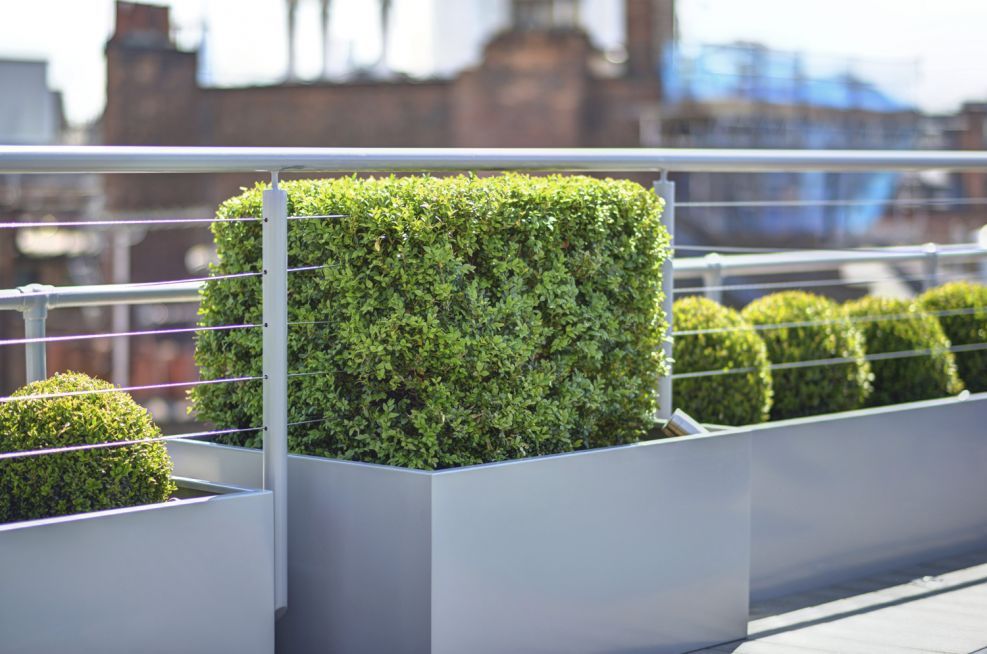 Steel trough planters with integrated balustrade for Tapestry, Firth Street, London