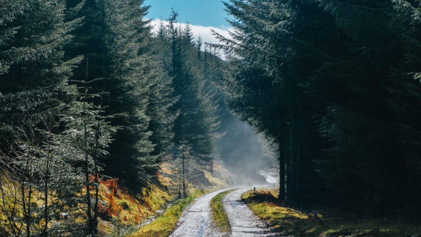 Building nature sustainably