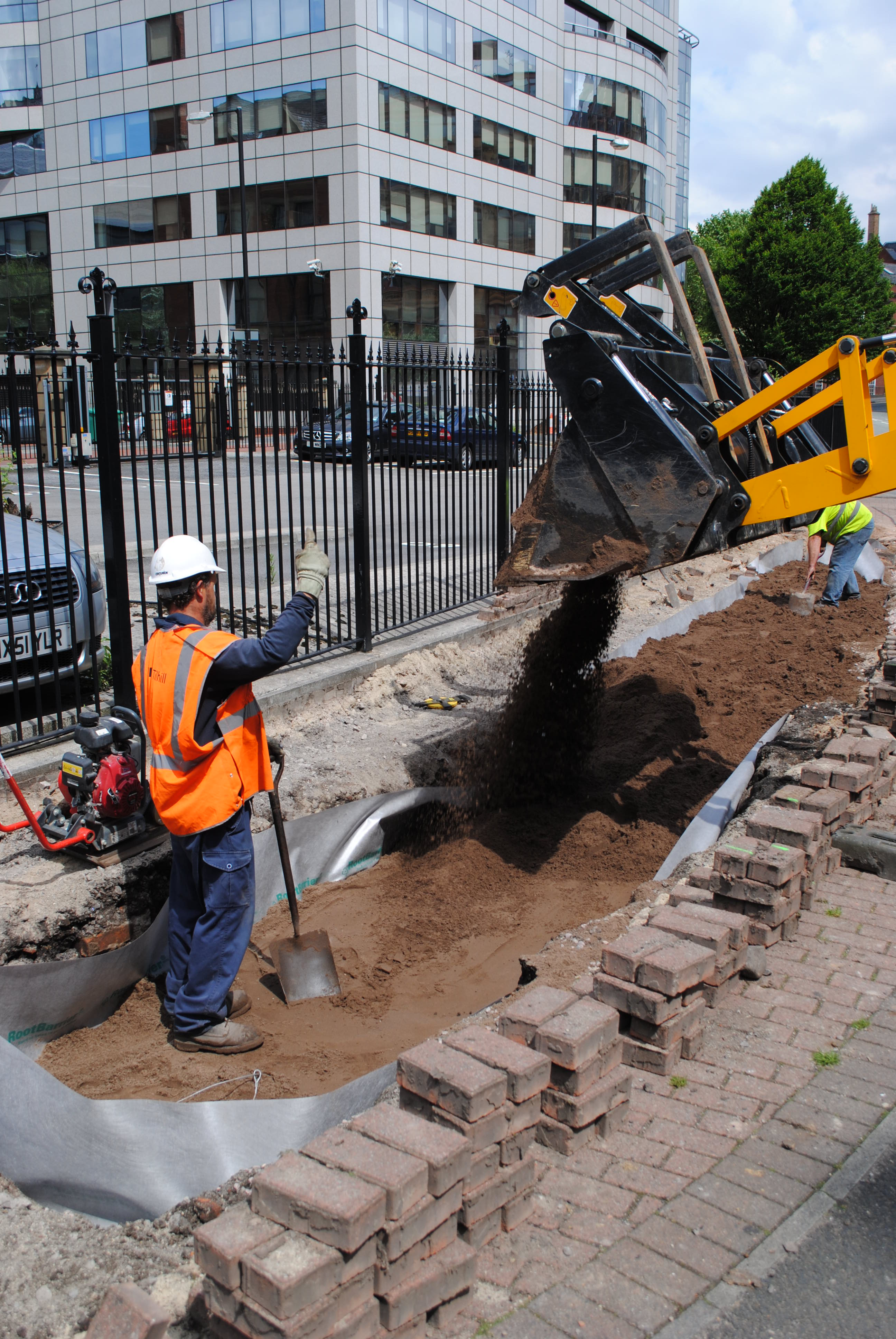 Soil Selection and Volume for Optimal Tree Growth | Green-tech Specifier