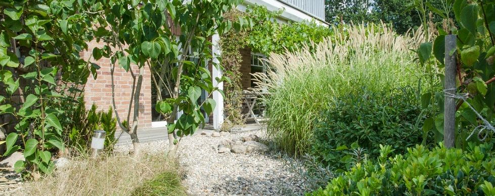 Sustainable garden design manages water responsibly