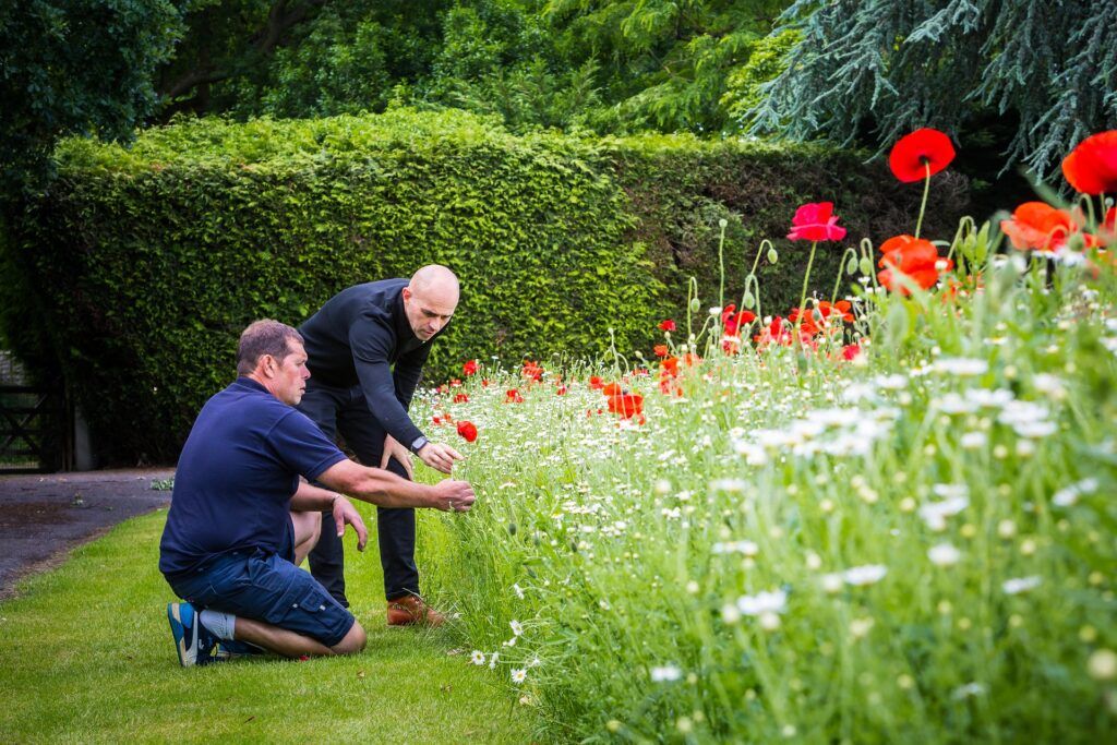 With time and patience, however, sowing wildflowers into grass is also possible