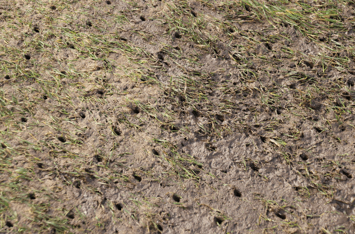 Aeration too wet