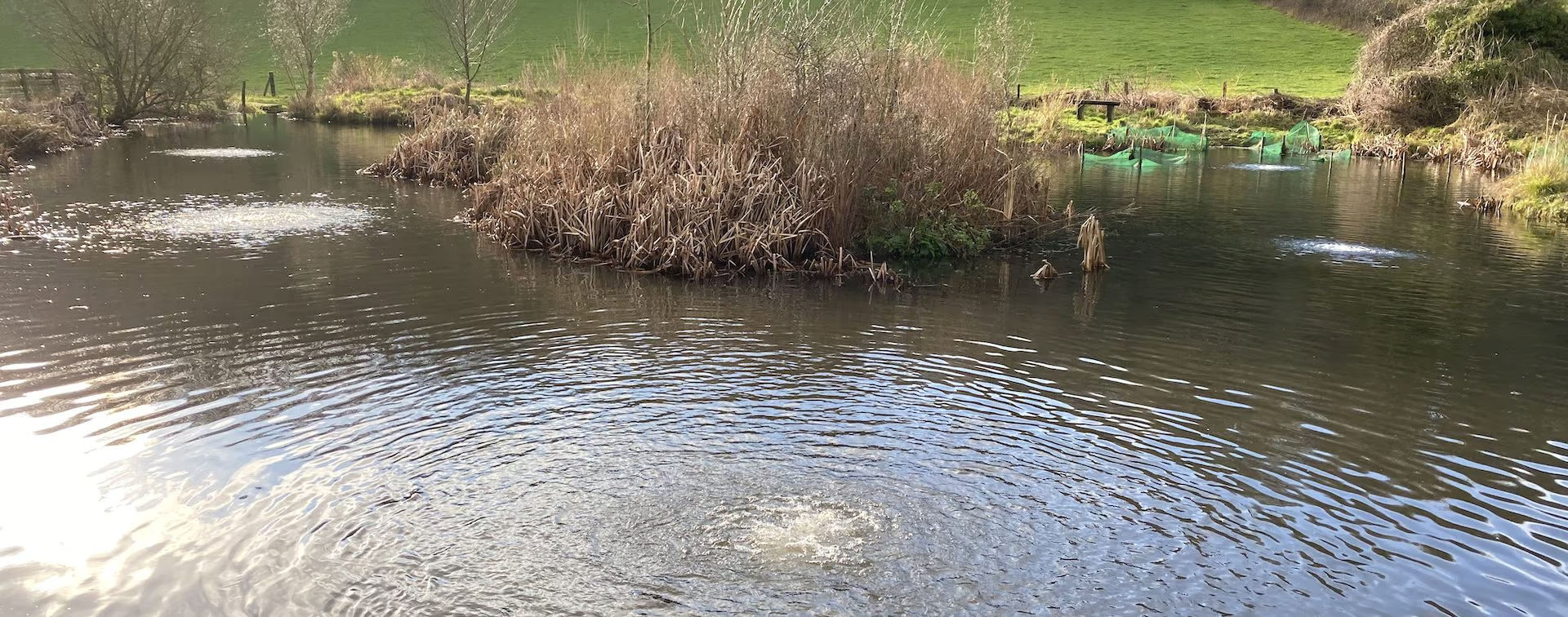 Diffused water aeration supplied and installed  by Heathland Group