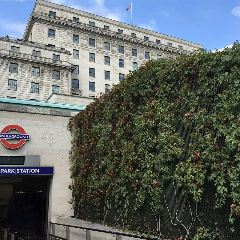 Terra 34 grating used to create green wall plant trellis at Green Park underground station