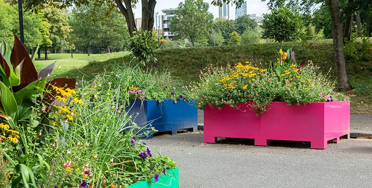 Planters adding a touch of colour