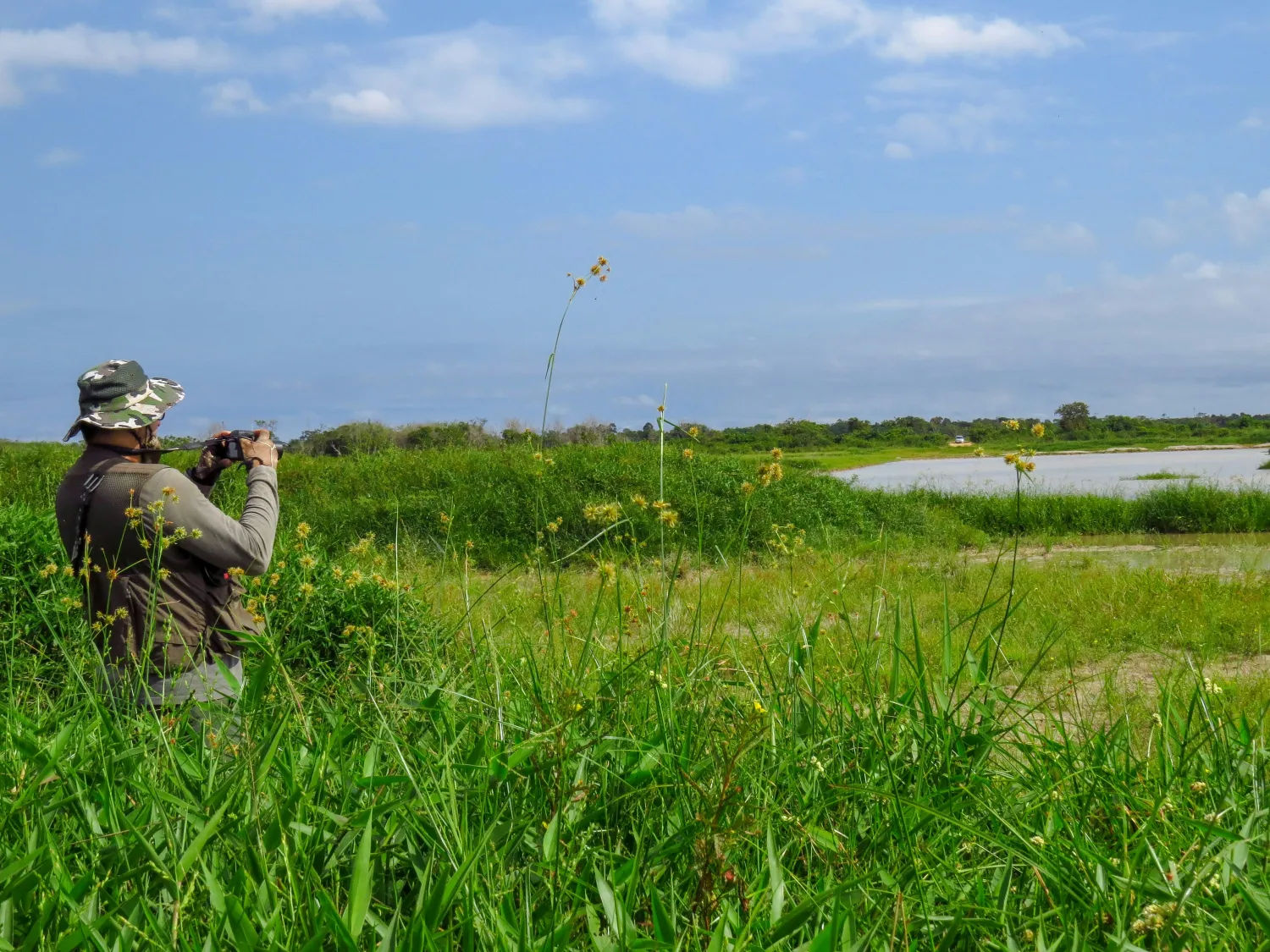 Wallasea Island Wild Coast Project, Essex