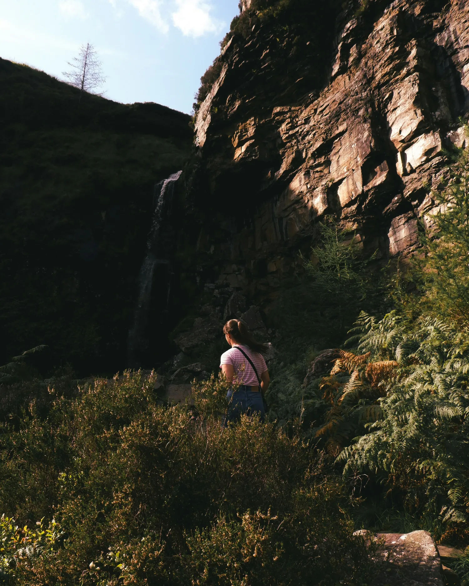 Rewilding Britain’s Network of Projects