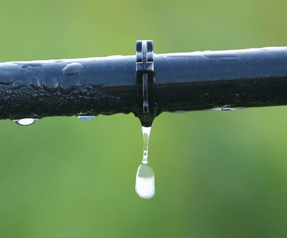 What is drip irrigation: Exploring the irrigation benefits