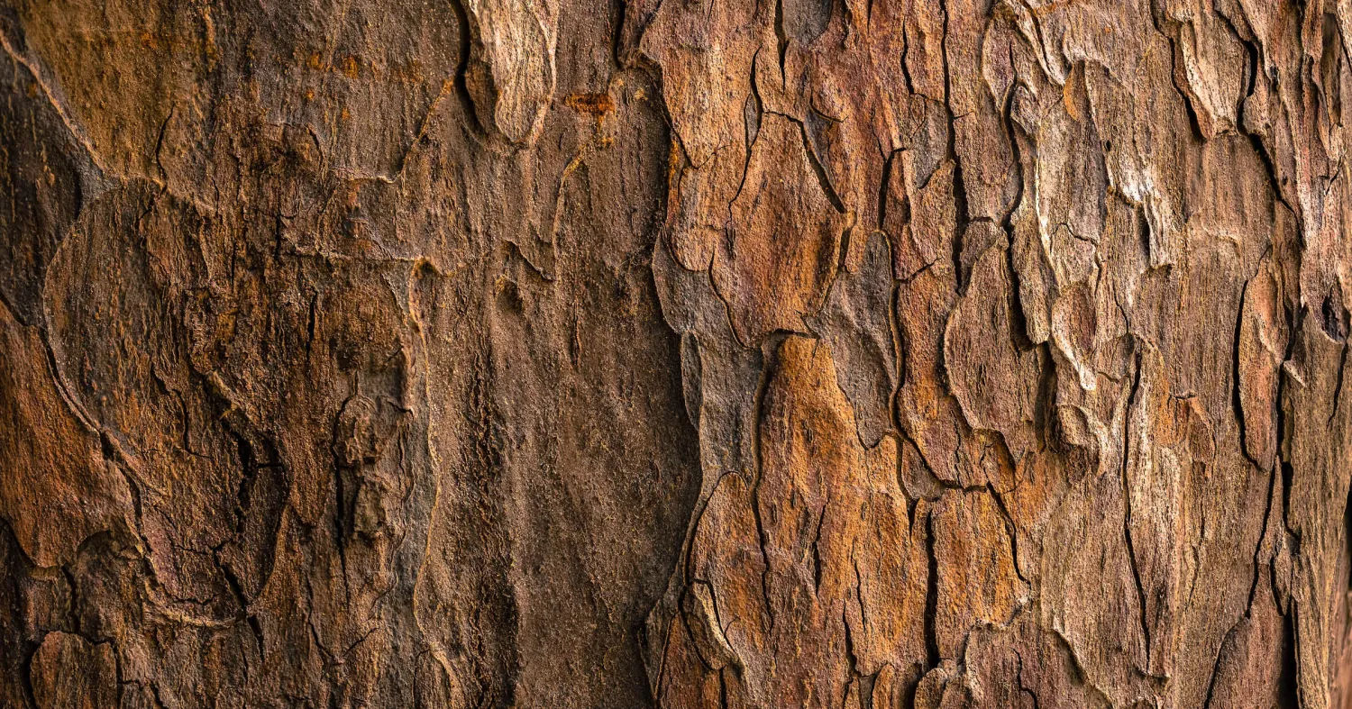 Respect for materials and processes connects to our fundamental responsibility as stewards of the environment.
