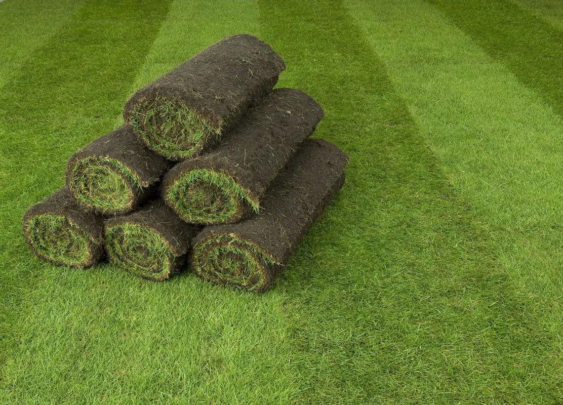 Harrowden does not use plastic netting on any of its lawn turf varieties