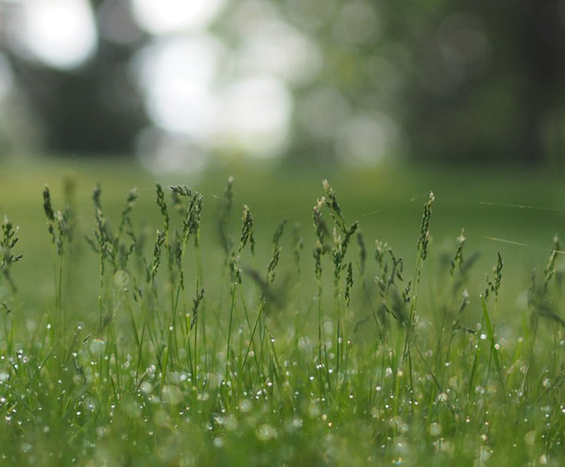 The 5 Key Principles of Hydroseeding: Building the Foundation for Sustainable Vegetation
