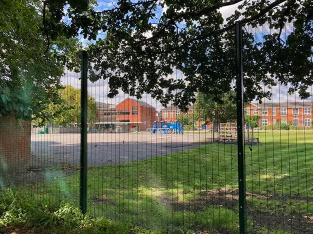 358 mesh fencing from Jacksons can protect habitats without harm at nature reserves, wetlands or woodland edges