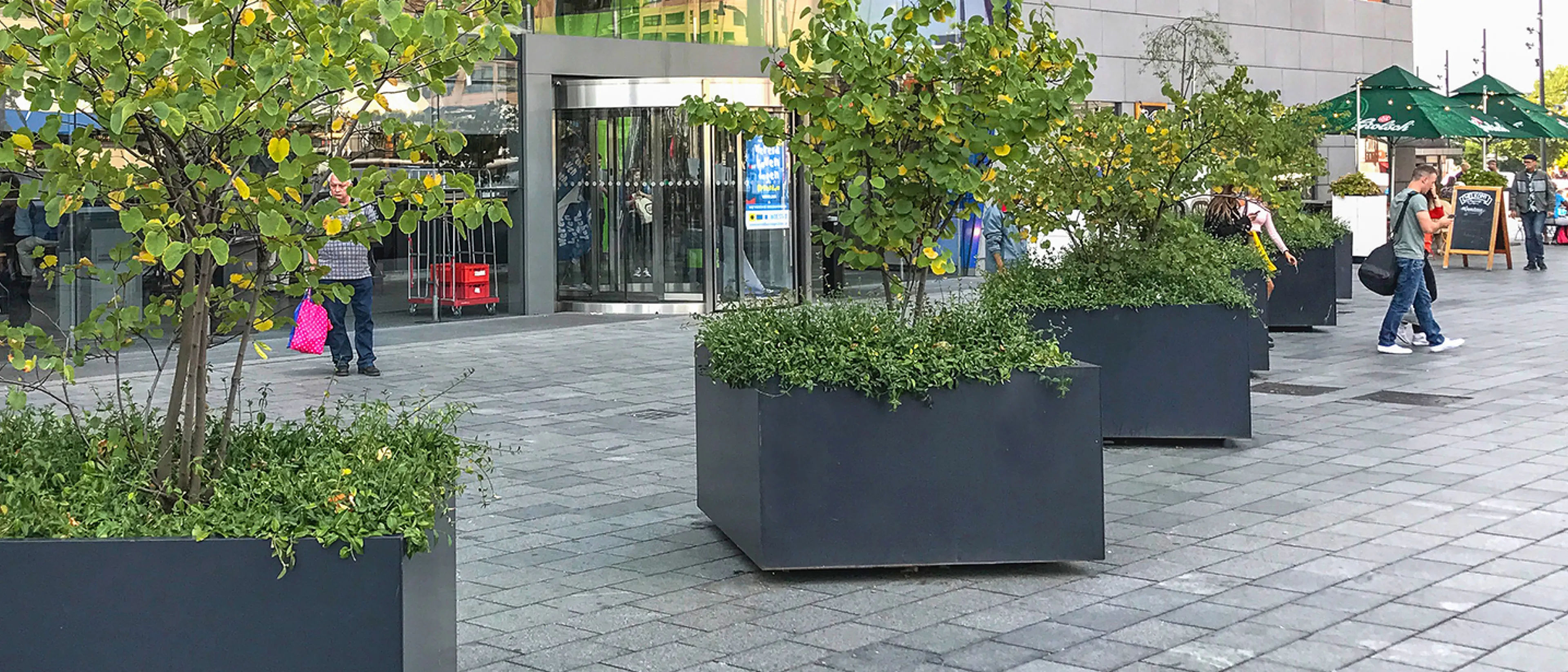 The optimum care and nurture of trees are central elements to the design of Streetlife's tree planters