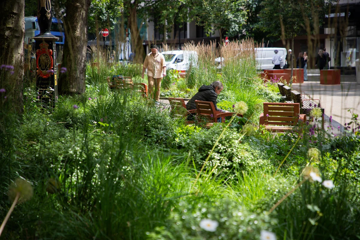 How the right street furniture choices can support local wildlife 