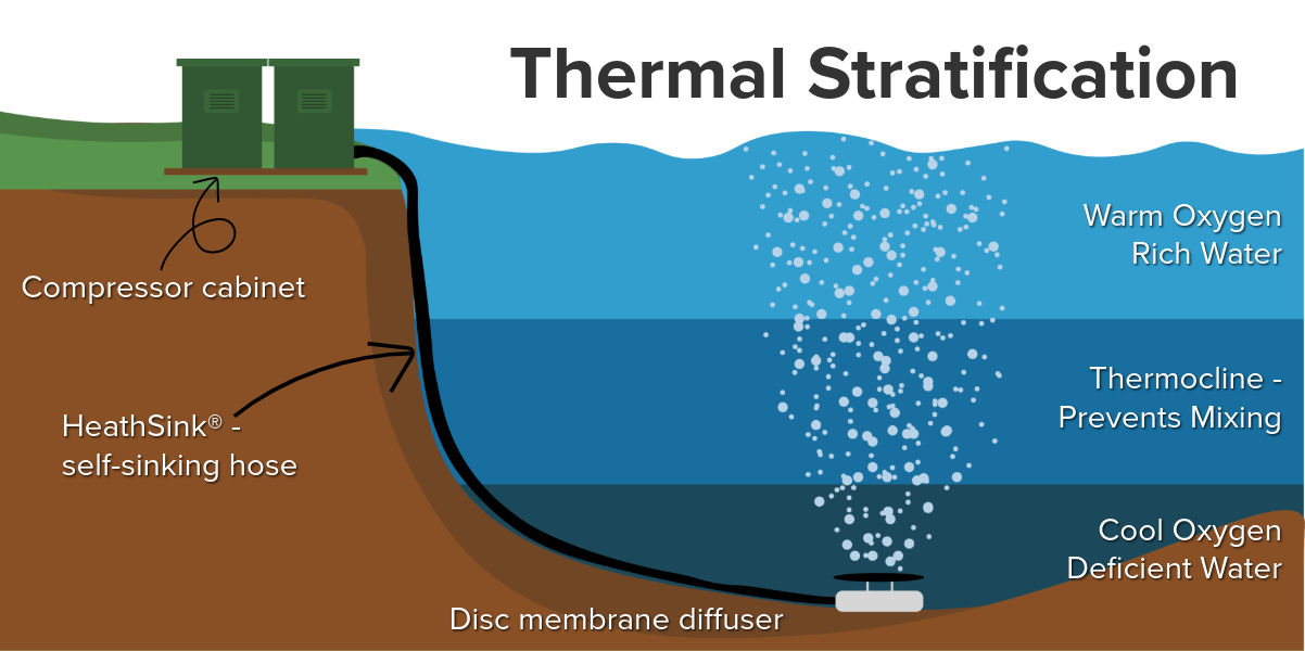 Thermal stratification typically occurs in three main layers: Surface Layer, Thermoclene and Deep Layer