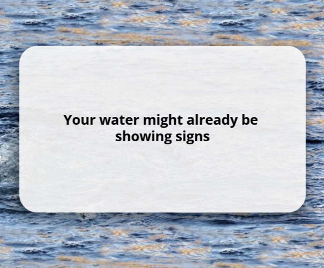 Your water might already be showing signs of becoming stagnant or develop odour