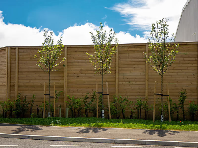 Timber fences create a reflective barrier for padel courts 