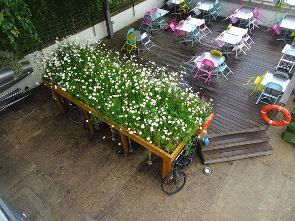 This bicycle shed was created by Outerspace Landscape Architects in Teddington so that employees could cycle to work. The roof has been adorned with sustainable (and beautiful) Meadowmat wildflower matting.