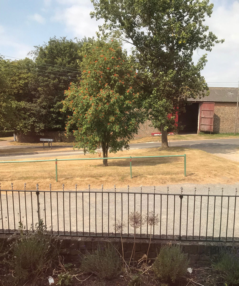 Summer 2018 will be remembered for brown straw-like lawns and road verges