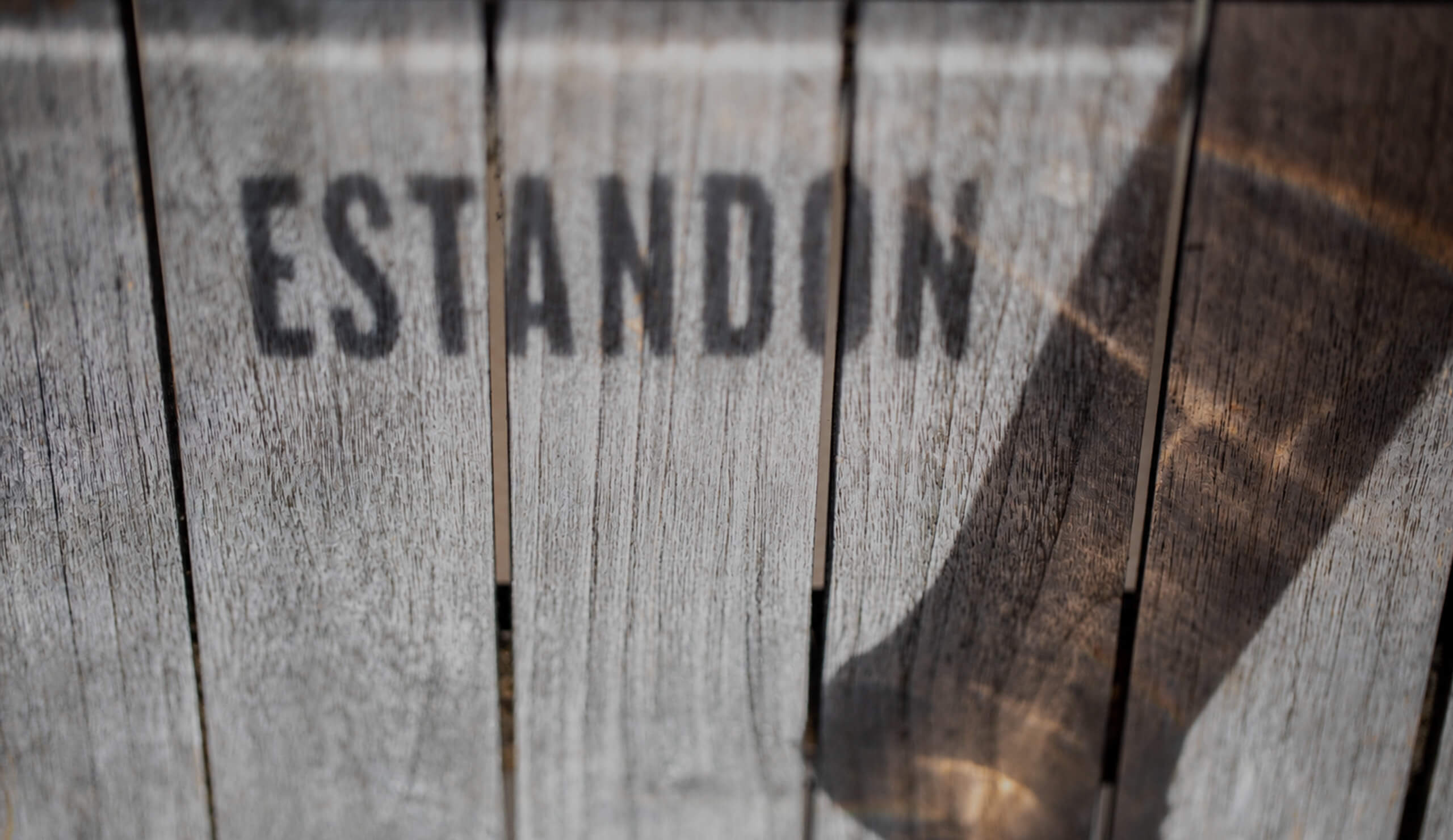 Histoire - Estandon