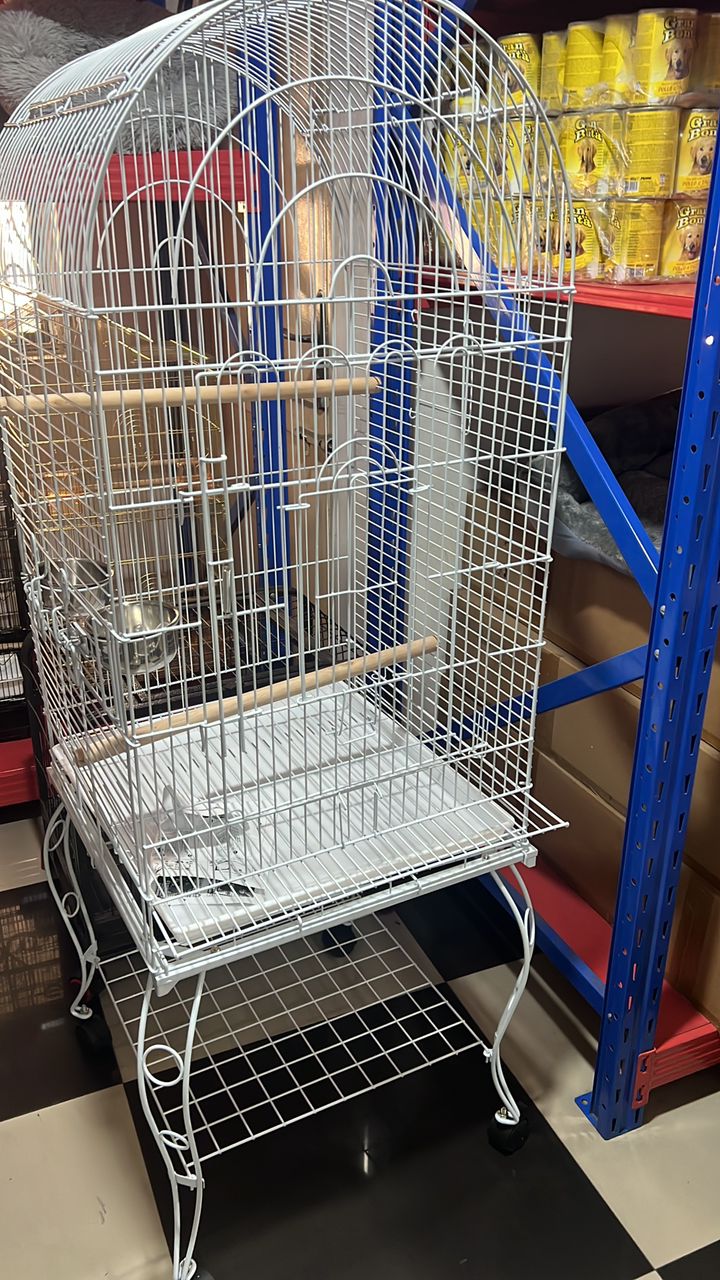 Bird Cage