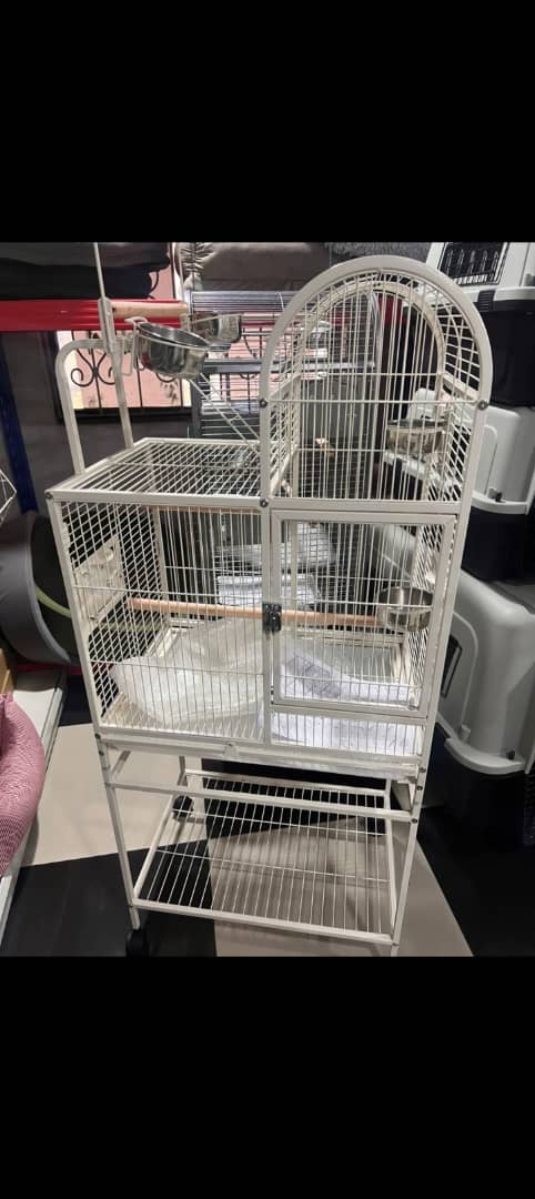 Bird Cage