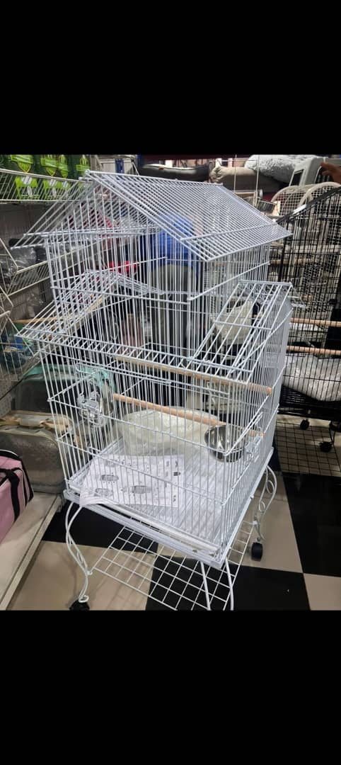 Bird Cage