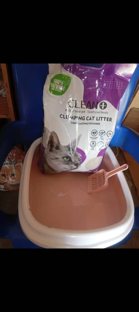 Cat Litter