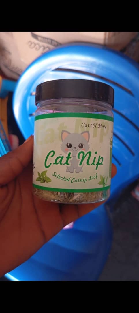 Cat Nip
